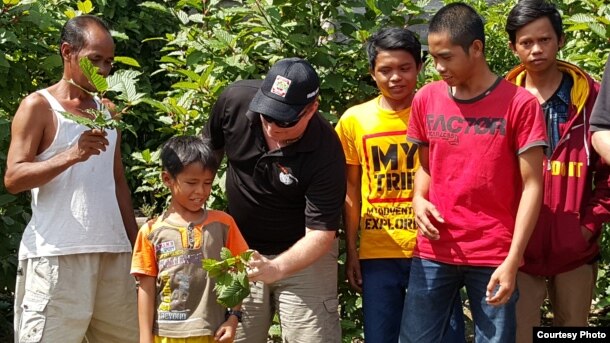 Indonesian villagers in a kratom-growing area hold some of the leaves. (Credit: C. Kratom)