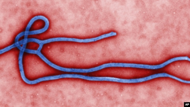 Kirusi cha Ebola ambacho kimeingia Uganda kwa mara nyingine 