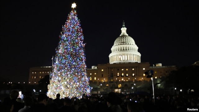 The U.S. Capitol Christmas Tree is pictured against a backdrop of the U.S. Capitol Building in Washington, December 4, 2012.   