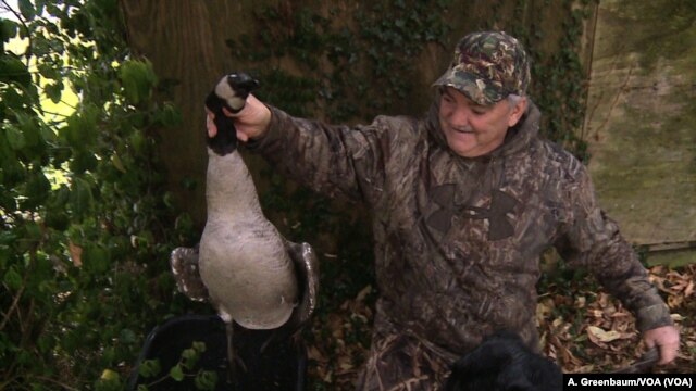 David Price, a hunting guide on Maryland’s Eastern Shore, shows off a Canada goose bagged by a client.