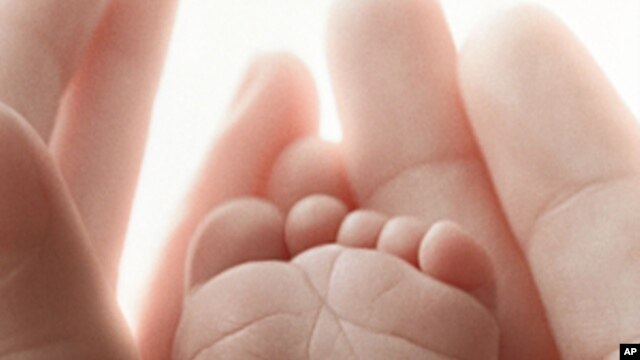 Award-Winning Film Explores Meaning of Life