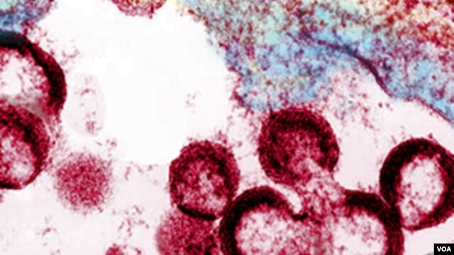 Los voluntarios no corrieron riesgo de contagio ya que los genes del VIH utilizados en la vacuna no pueden reproducirse.