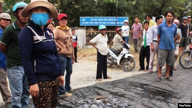 Người dân ở thành phố Cam Ranh, tỉnh Khánh Hòa đổ cá chết ra đường.