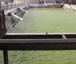 Minerals in briny water attach to CO2 molecules in the air to create a limestone-like material
