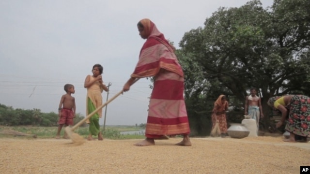 Women farmers in Bangladesh have learned they play an important role that ensures food security for their families.