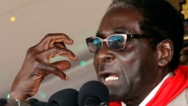 Zimbabwe's President Robert Mugabe gestures as he speaks during an event marking his 89th birthday in Bindura, about 90 km north of the capital Harare Mar. 2, 2013. 