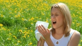 Çarçafët që luftojnë alergjitë