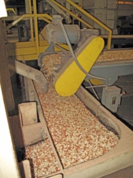 After boll weevils destroyed the cotton crop, Enterprise soon produced more peanuts than any other region in US.
