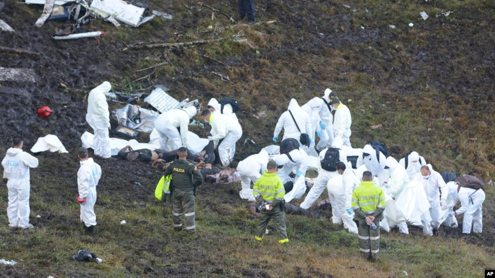 Les secouristes déployés sur le site du crash s&#39;attèlent à retrouver d&#39;éventuels survivants, le 29 novembre 2016.