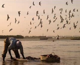 Fisherman on the White Nile (Morada). Khartoum, Sudan. Increased periods of drought would likely mean less water, and fish, for Africa's basins.