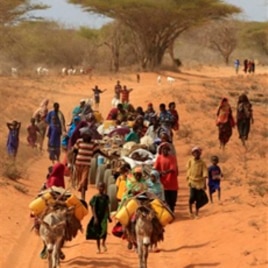 Somalis fleeing hunger in their drought-stricken nation walk along the main road leading from the Somalian border to the refugee camps around Dadaab, Kenya