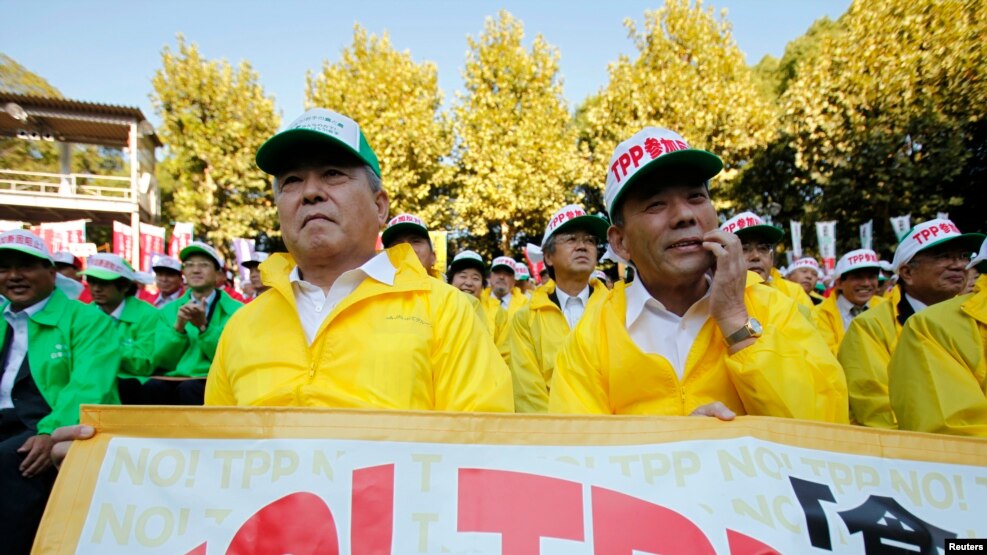 日本农民在东京举行集会反对日本参加美国主导的跨太平洋贸易伙伴协定（TPP）（资料照片）。