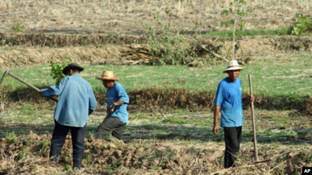 Farm workers in a field near the city of Udon Thani in Thailand's impoverished northeast, 14 May 2010