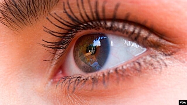 Penderita diabetes rawan terhadap kebutaan yang disebabkan oleh kondisi yang disebut diabetic retinopathy.