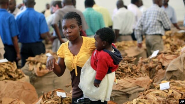 A woman and her baby walk past bags of tobacco early in the selling season in Harare. Zimbabwe thrived on tobacco and other farm exports until the government-instigated seizures, often violent, of white-owned commercial farms starting in 2000, (File)