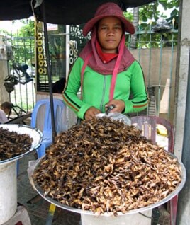 Insect merchant in Cambodia