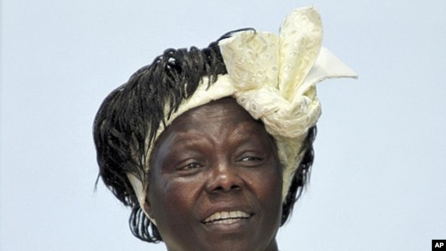 Nobel Peace Prize laureate Wangari Maathai participates in a discussion at the University of Nairobi in the Kenyan capital Nairobi, March 8, 2010.