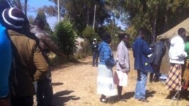 Long voting queue in Zimbabwe's general election