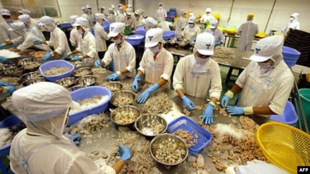 Công nhân làm việc tại nhà máy chế biến và xuất khẩu thủy sản Camimex ở Cà Mau.
