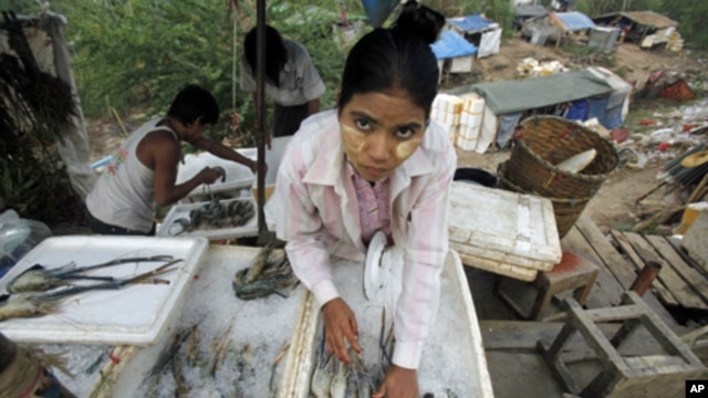 A migrant worker from Burma arranges shrimps at her shop in the Thai border town of Mae Sot, Nov. 7, 2010. (file photo)