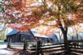 บรรยากาศเที่ยวชมความงามสีสันธรรมชาติของไม้ผลัดใบในฤดูใบไม้ร่วง(Fall Season)ที่สหรัฐฝั่งตะวันออก