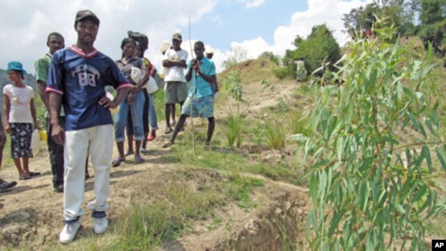 Restoring Haiti's hillsides with contour canals, vetiver grass, and trees