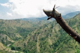 The denuded landscape near Petit Guave. Haiti is 98 percent deforested.