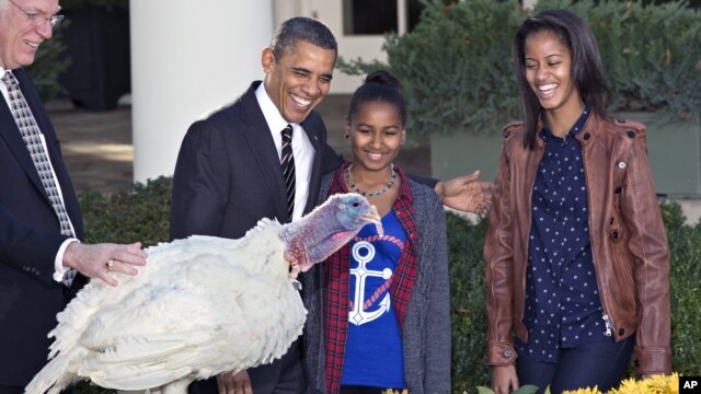 Presiden AS Barack Obama dan anak-anaknya, Sasha serta Malia, melakukan tradisi "pengampunan" pada seekor kalkun. (AP/J. Scott)