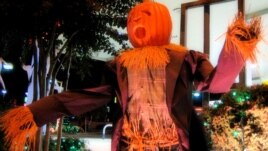 A Pumpkin-Headed Halloween Scarecrow