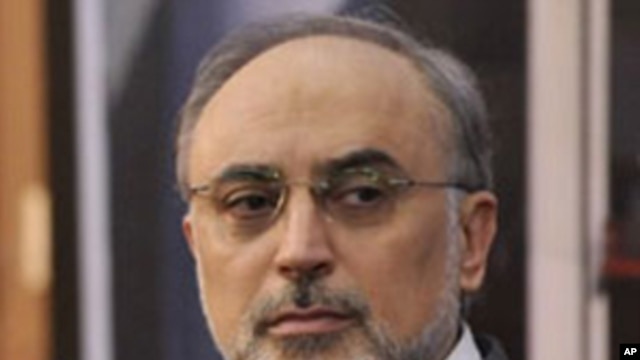 Ali Akbar Salehi, Iran's nuclear chief and interim foreign minister(file photo)