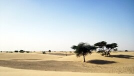Une vue du désert mauritanien où évolue AQMI