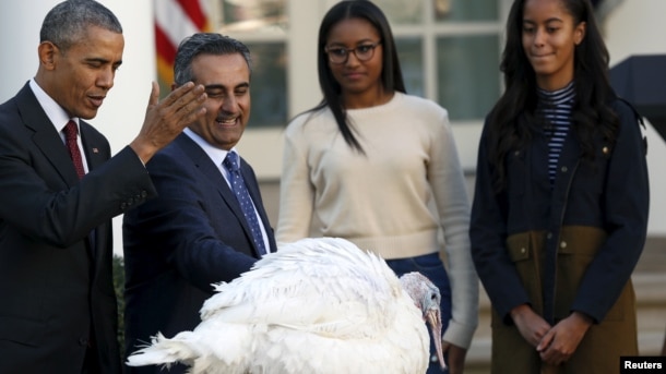 Dịp Lễ Tạ ơn năm ngoái, Tổng thống Barack Obama đã thực hiện nghi thức phóng sinh gà tây có tên "Abe".