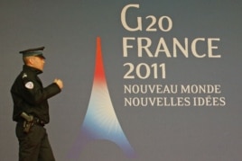 Some activists said the G20 summit failed to live up to its slogan 'New World, New Ideas.'