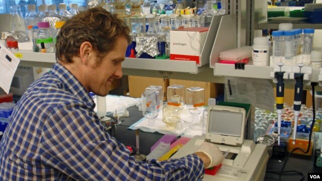 Researcher Jimmy O'Donnell at the University of Washington lab bench where he processes eDNA samples. (VOA / T. Banse)