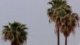 Who Made Hollywood Into Hollywood?