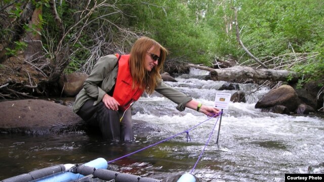 A researcher measures the productivity of algae in a stream. (Brad Cardinale)