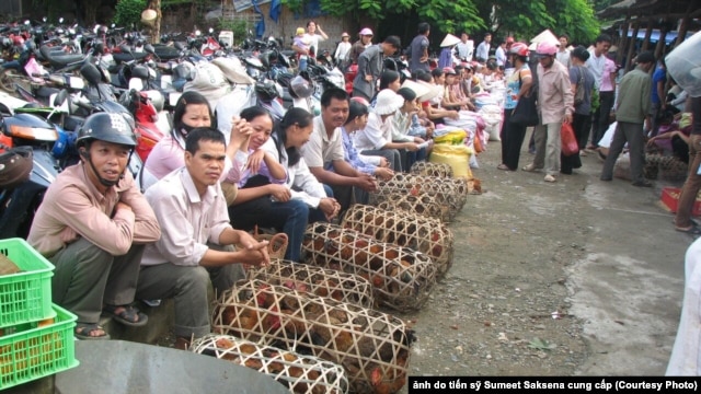 Người bán gia cầm ở 1 chợ ở Yên Ninh, Việt Nam. - Ảnh do tiến sỹ Sumeet Saksena cung cấp