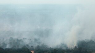 အင္ဒိုနီးရွားေတာမီး