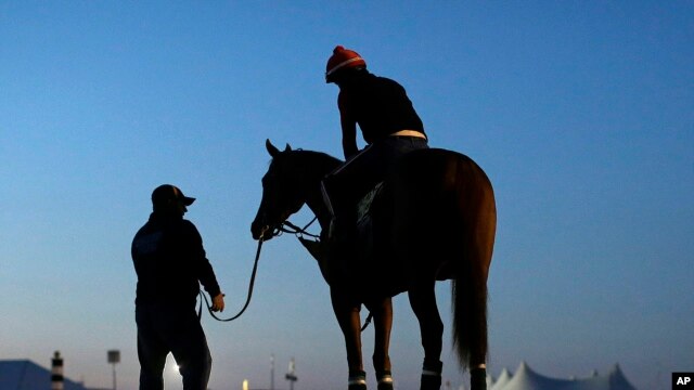 Assistant trainer Alan Sherman, left, stands Kentucky Derby winner California Chrome, with exercise rider Willie Delgado, May 17, 2014.