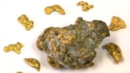 Gold nuggets