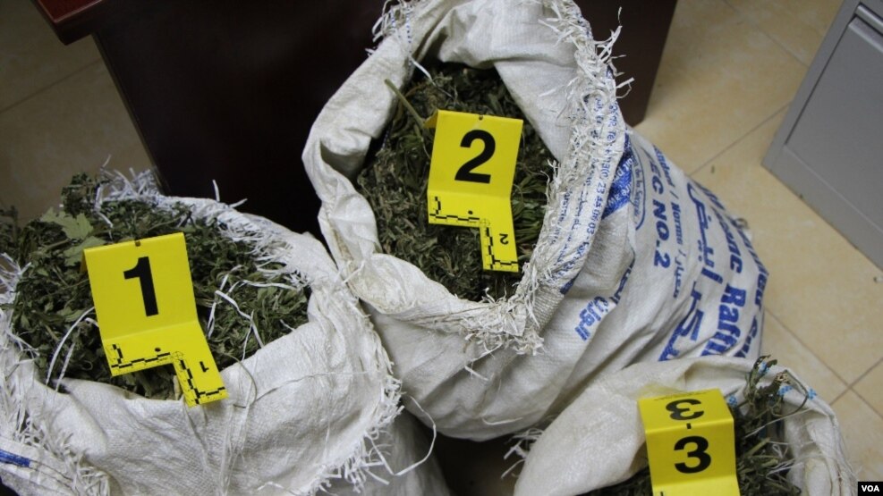Shqipëri, bllokohet rreth një ton marijuanë