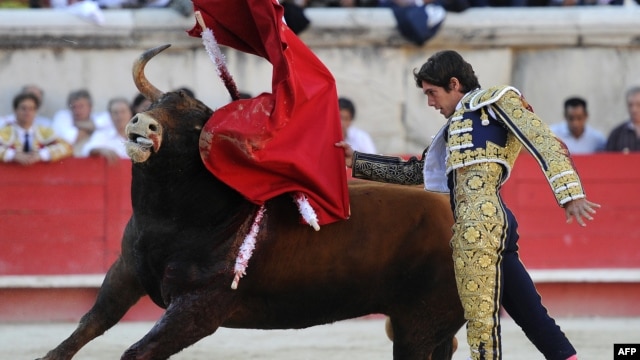 French matador Sebastien Castella performs a muleta pass to a Daniel Ruiz fighting bull, on September 16, 2012 during the Bullfighting wine harvest feria in Nimes, southern France.