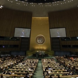 United Nations General Assembly
