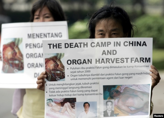 FILE - Indonesian Falun Gong followers carry placards during a protest in front of U.S. embassy in Jakarta, April 19, 2006. A group of protesters called on U.S. President George W. Bush to raise the issue of China harvesting organs from Chinese people during his talks with Chinese President Hu Jintao.