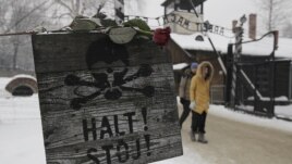 A rose is placed on top of a sign that reads "Stop" with a skull painted, near the gate at the concentration camp during a ceremony marking the 68th anniversary of the liberation of the Auschwitz and to remember the victims of the Holocaust, in Oswiecim, 