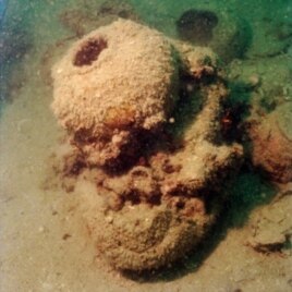 Submerged underwater for centuries, this storage jar from the Tang treasures eventually became an integral part of a coral formation.