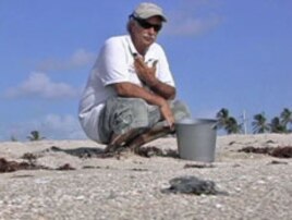 Florida's beaches and wildlife are a draw for tourists.