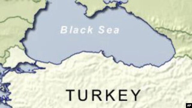 Turkish Police Arrest 31 Suspected Kurdish Separatists