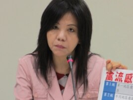 在野党民进党立委 叶宜津(美国之音张永泰拍摄)