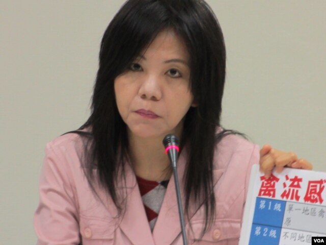 在野党民进党立委 叶宜津(美国之音张永泰拍摄)